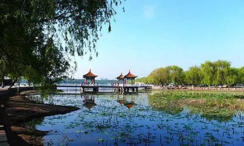 1556011361620733.jpg s8.jpg